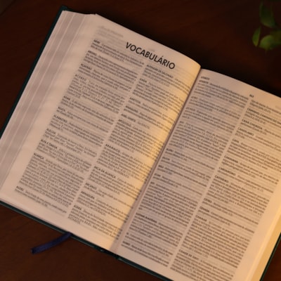 image_51b43b7d-d4b0-4fec-91fc-04f3a9e853eb