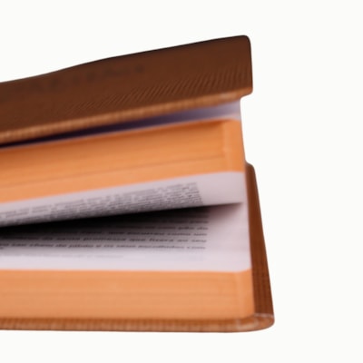 image_7e5040f2-ca91-4576-a41f-babe9ae318f0