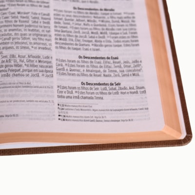 image_1deb22c8-fce5-4406-9d76-25b2d85857ae