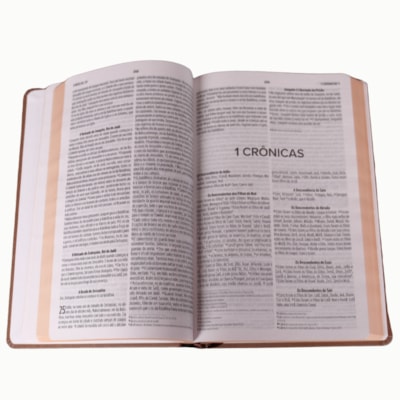 image_fdded707-0072-4203-9af0-3e7a1f0809a3