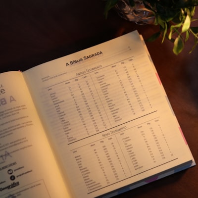 image_0cb4e581-64a9-494c-8988-caf0bfd2897f