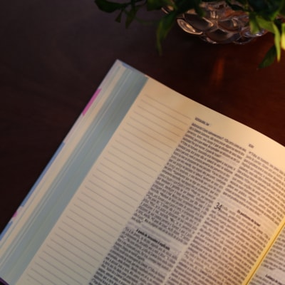 image_0dff8f3d-f31b-4c3d-b051-a5943b664df0