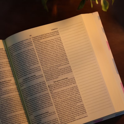 image_72f4b80e-a346-4c72-ad5f-2797bb6db4c3