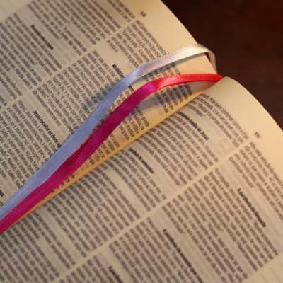 image_43288487-9934-4442-81b6-266246c0499c