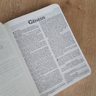 image_42bf49c7-6f60-425a-ac92-65071991c5a8