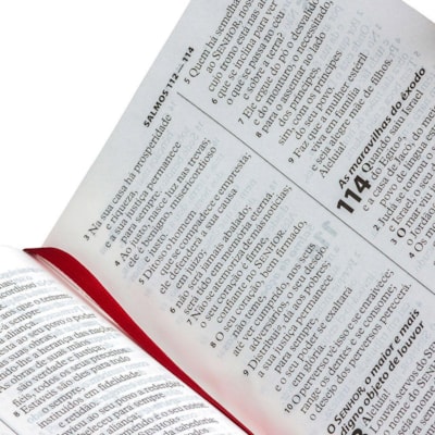 image_0b132689-2f2a-48dc-961e-e8d088133799