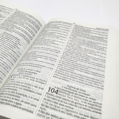 image_1b7cc664-42e2-4290-8469-94d1948217ad