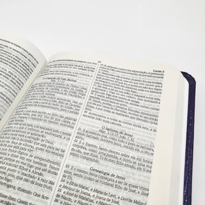 image_5cbd0fc3-9e27-4863-b4b2-425513c6abb8