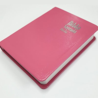 image_790a7fdc-175c-479d-8d75-188e214b3f05