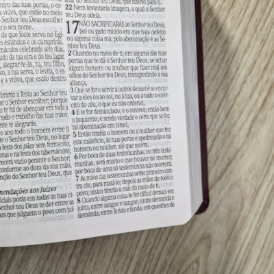 image_067e5c28-ea56-42e3-981d-b2da13d1c952