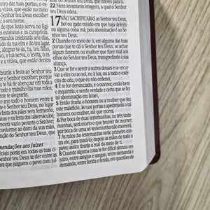 Bíblia Sagrada Media | ARC | Letra Grande | Harpa Avivada | Covertex Bordo