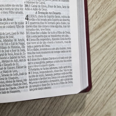 image_d6161079-3d50-4064-b23d-b1b8c60bcaf7