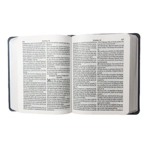 Bíblia Sagrada Media | ARC | Letra Grande | Harpa Avivada | Covertex Preta