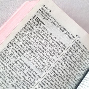Bíblia Sagrada Média Asas do Pensamento | NVI | Letra Média| Brochura