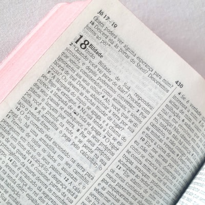 image_10b94e83-96c9-49e5-afbf-57e67b1467f0