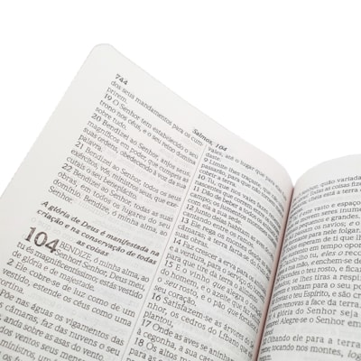 image_bb8a2b34-2698-4a04-992f-343086672bea