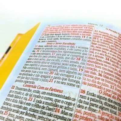 image_76e42042-24f6-4694-84ee-862a34741ffb