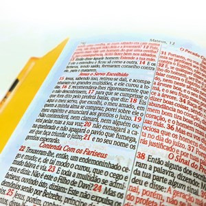 Bíblia Sagrada Média Leão Paisagem | ARC | Letra Normal | Capa Dura
