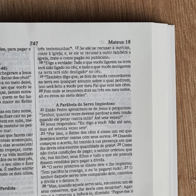 image_e5e6370a-3571-4a53-a950-a73a71b74364