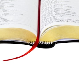 Segunda imagem do produto Bíblia Sagrada Média | NAA | Letra Grande | Capa Luxo Preta