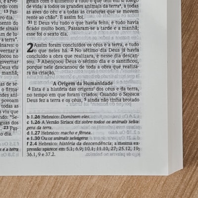 image_4802dd60-77ad-4c88-9249-8d6ef77d41f4