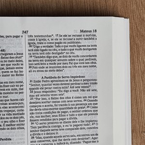 Bíblia Sagrada Média Nada Será Capaz | NVI | Brochura