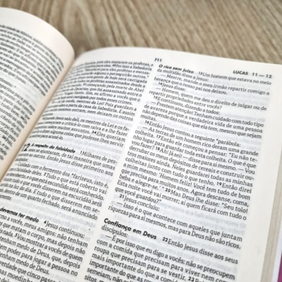 image_4855d254-6eef-4d30-95d0-a22612eb3626