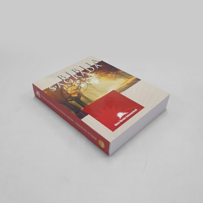 image_d3fff317-c3ee-47ec-96e0-17182ef89e03