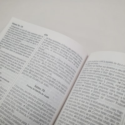 image_dd19a5fd-6d3c-4ac5-b967-ed6d89174c3b