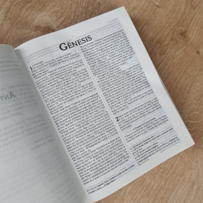 image_95a0123c-8042-4166-95de-66341cc46139