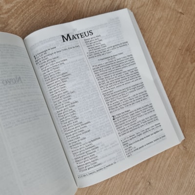 image_3cf11f82-9dc0-4c3e-973d-ec97ebf48ff3