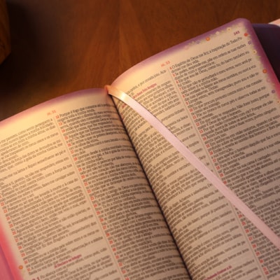 image_f79e10ea-c4be-4c2d-bd04-ed6fa69c3896