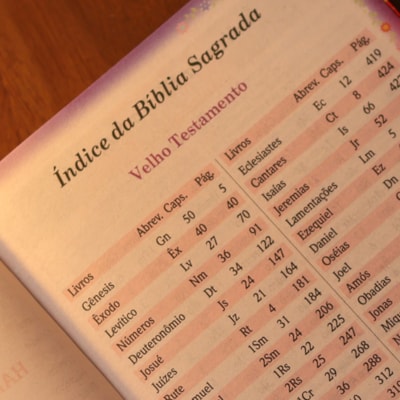 image_ab31ff89-f5a7-4d98-99e4-61b5ebed460e