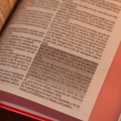 image_10f01df3-40e8-4960-b057-11718f3b0ea9