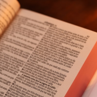 image_ca138f99-2e4a-4f58-b2a4-b9e3d0670cde