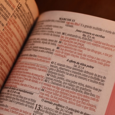 image_c90494a1-1946-47e4-8e44-b726c817bba2