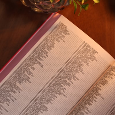 image_8e048c62-54ee-4505-942b-34f69451a261