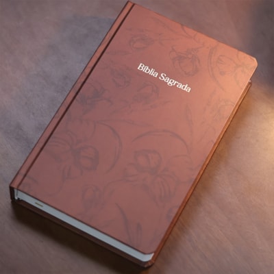 image_48cda4dc-99d9-4f50-8aac-4800c998b072