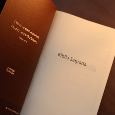 image_3b88b259-7a56-439e-971f-6c6839c1f205