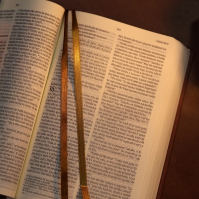 image_934cb291-e212-44f4-9699-6c958f2df756