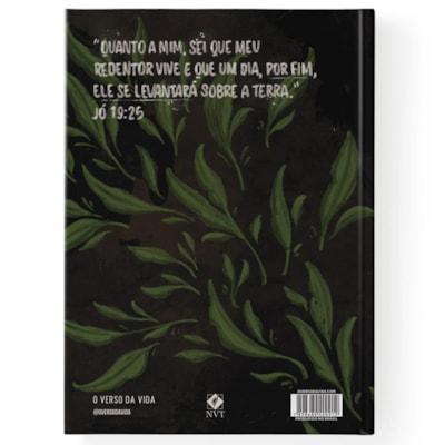 image_b2817378-74ce-4a07-8929-71fb36a207b3