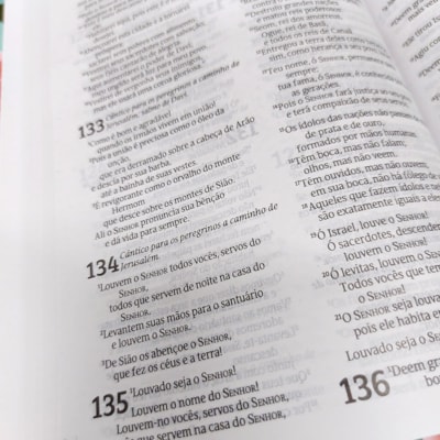 image_8691add1-c9cc-4922-a054-0bf61149361a