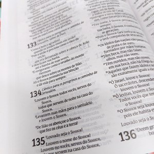 Bíblia Sagrada Meu Redentor | NVT | Letra Normal | Capa Dura