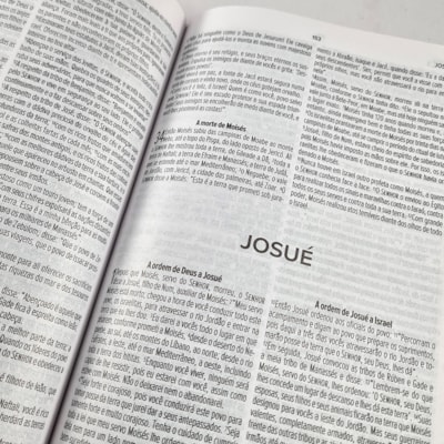 image_6b23cf17-5f24-45b5-a289-b802e7a30ce3