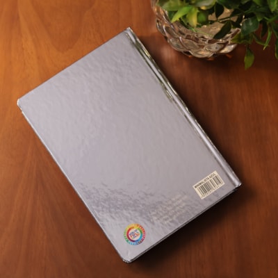 image_d08bb599-24f1-4b14-933e-7b66eda0098f