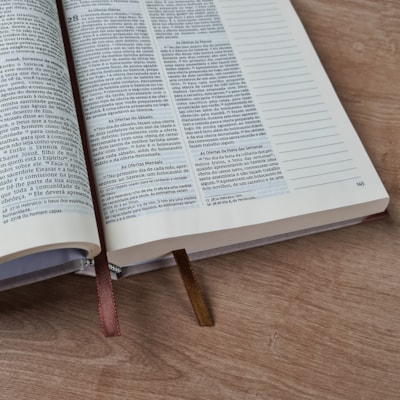 image_931cf9bb-225b-40a7-b3c1-29e80646bf58