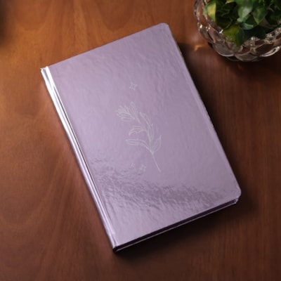 image_e6fdfb24-10fa-4284-a32c-c5e7171893cd