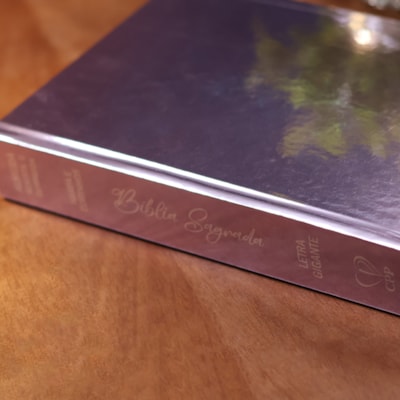 image_64f1c146-6895-490f-85dc-19393c26adbc