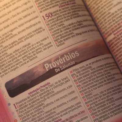 image_6b6317dd-7d6c-4e91-8cc1-da932d0913d7