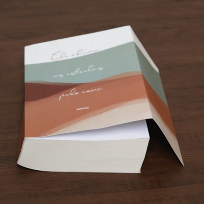 image_eebb07a1-60b7-47b2-a6d3-083e5600ee0e